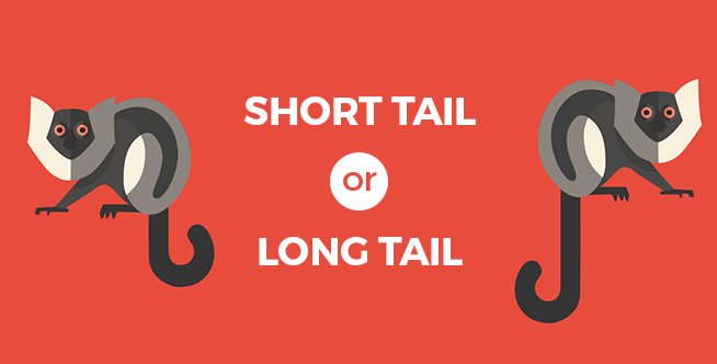 Short-tail Keywords Vs. Long-tail Keywords – Which One Is Better for You?